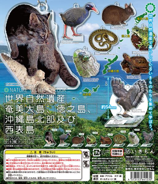 File:Ntc okinawa dp.jpg