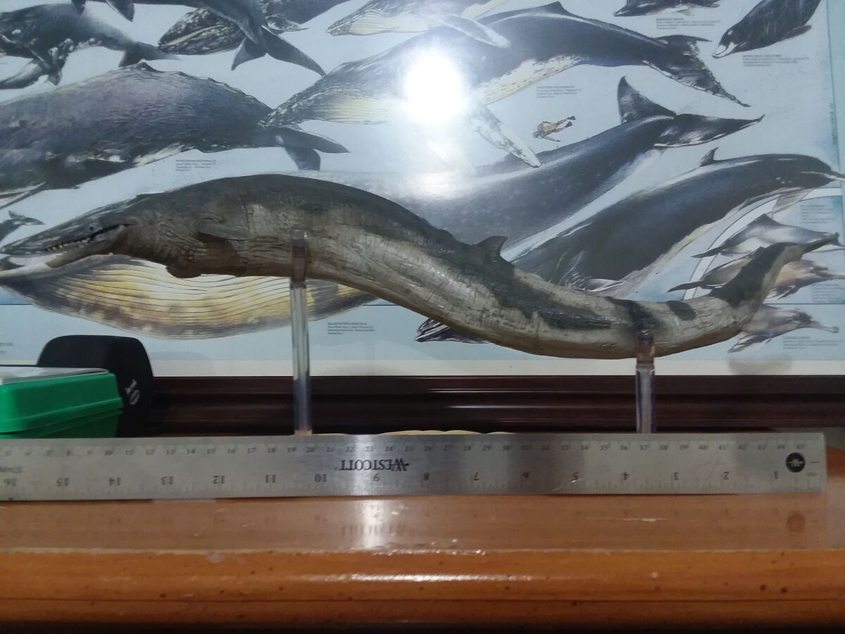 PNSO Prehistoric Animal Models no 09 Oba the Basilosaurus Toy Animal Wiki