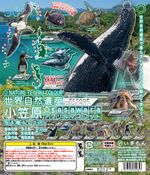 Ogasawara Acrylic Mascot