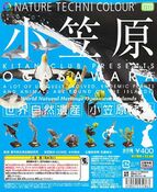 Ogasawara (8 models, June 2013)