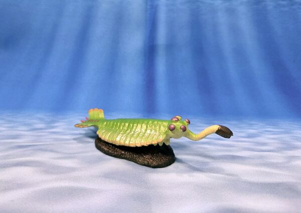 Opabinia regalis Favorite1-scaled.jpg