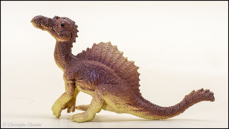 File:PNSO 005 Spinosaurus baby 4.jpg