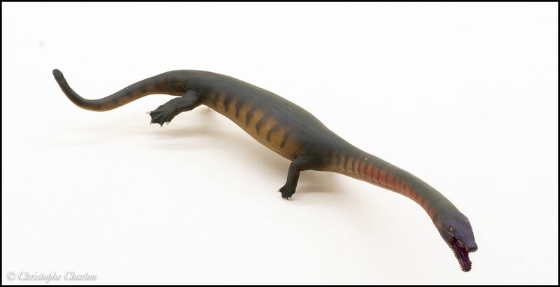 File:PNSO no 91 Dinocephalosaurus 4.jpg