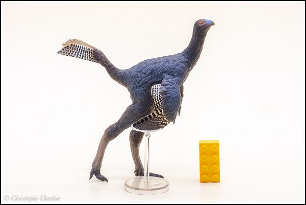 PNSO no 93 Caudipteryx 1.jpg