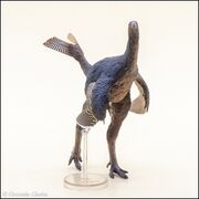 PNSO no 93 Caudipteryx 4.jpg