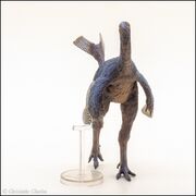 PNSO no 93 Caudipteryx 5.jpg