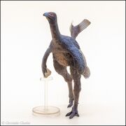 PNSO no 93 Caudipteryx 6.jpg