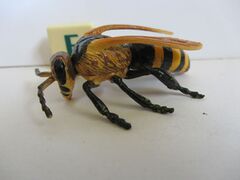 Play Visions Honey Bee