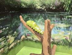 Toys Spirits Great Mormon caterpillar