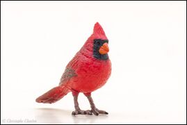 Papo 50322 Red Cardinal 3.jpg