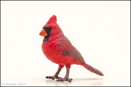Papo 50322 Red Cardinal 5.jpg