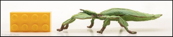 Papo 50323 Leaf Insect 1.jpg