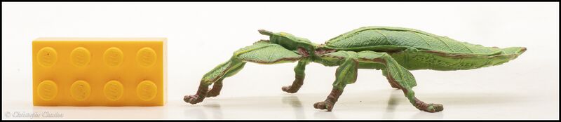 File:Papo 50323 Leaf Insect 1.jpg