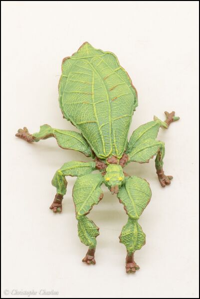 File:Papo 50323 Leaf Insect 3.jpg