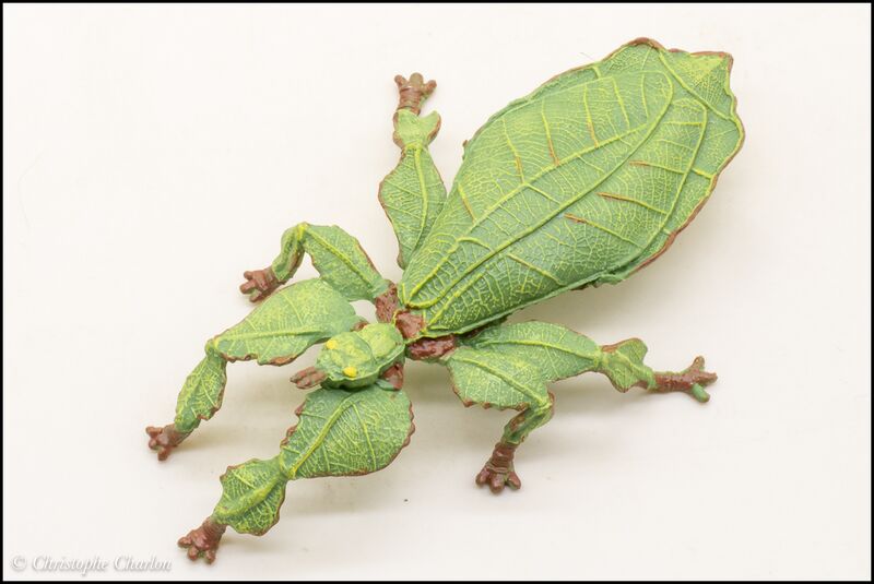 File:Papo 50323 Leaf Insect 4.jpg