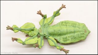 Papo 50323 Leaf Insect 6.jpg