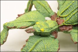 Papo 50323 Leaf Insect 7.jpg