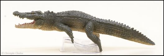 Papo 50324 Saltwater Crocodile