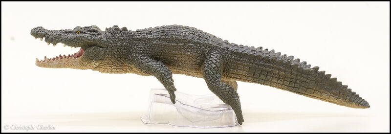File:Papo 50324 Saltwater Crocodile 2.jpg