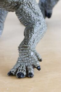 Papo 55019 Pachyrhinosaurus 5.jpg