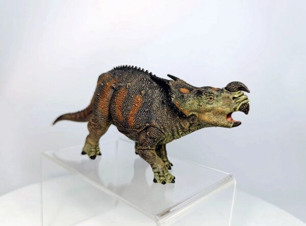 Papo 55097 Einiosaurus 1.jpg