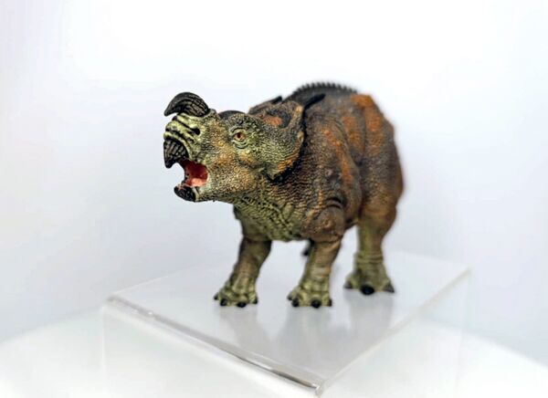 Papo 55097 Einiosaurus 2.jpg