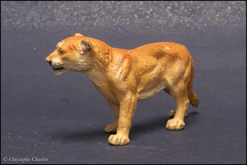 File:Pfeiffer 1900 Lioness 3.jpg