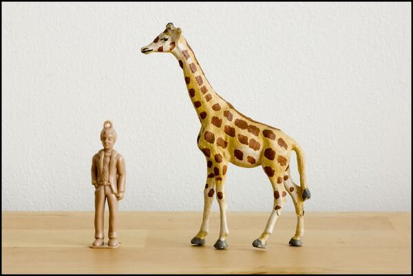 Pfeiffer small giraffe 1.jpg