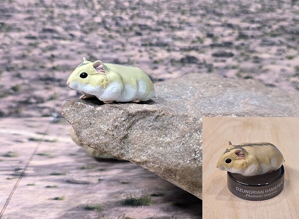 Phodopus sungorus Kaiyodo.jpg