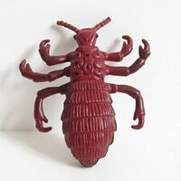 Phthiraptera thumb.jpg