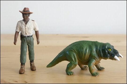 Placerias - Toy Animal Wiki