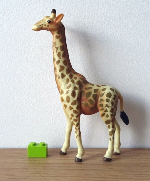 Playtive-Giraffe-zie.jpg