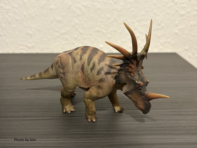 File:Pnsostyracosaurus.jpg
