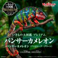 Bandai DoL premium green Panther Chameleon