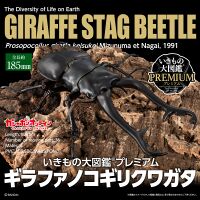 Bandai DoL premium Giraffe stag beetle