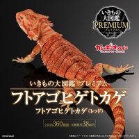 Bandai DoL premium red Bearded Dragon