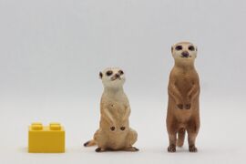 Re-Ment_Meerkats