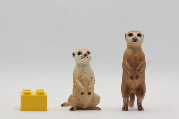 Re-Ment Meerkats 1.JPG