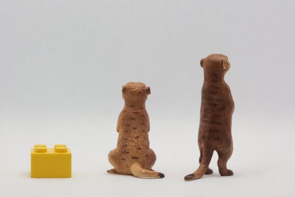 Re-Ment Meerkats 2.JPG
