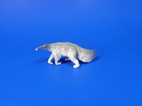 Giant Anteater