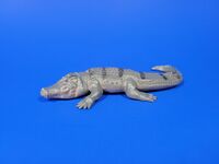 Siamese Crocodile