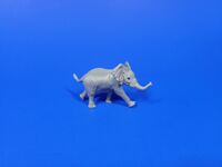 African Elephant Calf