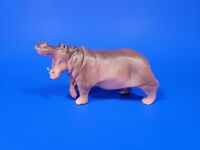 Hippopotamus