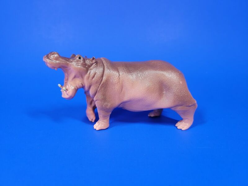File:Recur-egg-hippo-pg.jpg