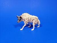 Striped Hyena
