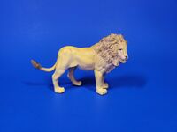 African Lion
