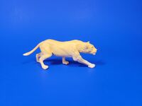 African Lioness