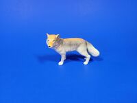 Tibetan Fox