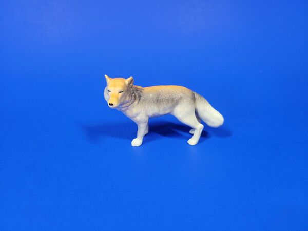 Recur-egg-tibetanfox-pg.jpg