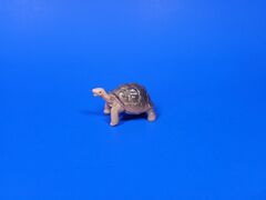 Recur Super Egg Galapagos Tortoise